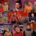 The Trouble With Tribbles Collage