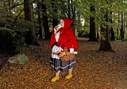 LITTLE RED RIDING HOOD,TODAY