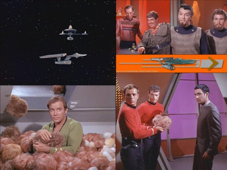 the_trouble_with_tribbles.jpg