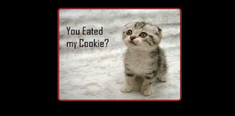 You ate my cookie?