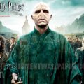 Harry Potter 7 Part 2 in Voldemort Team