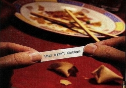 That Wasn't Chicken...
