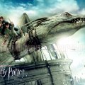 Harry potter 7 Part 2 In Dragon