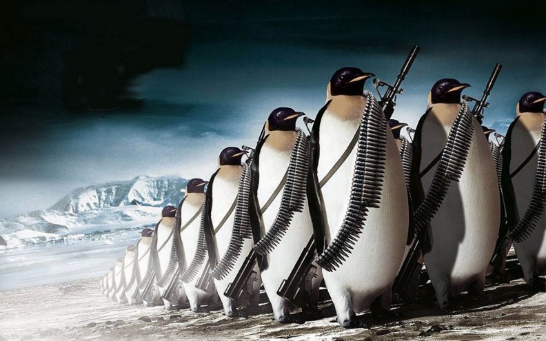 penguin_war.jpg