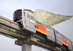 wing train