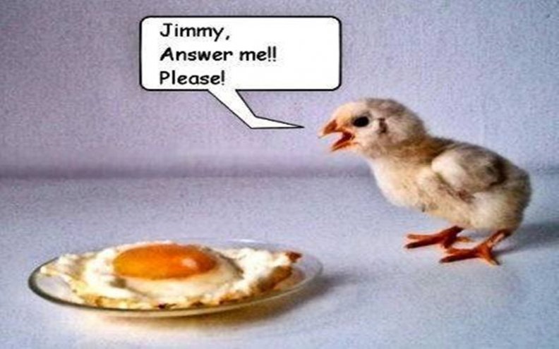 funny_egg.jpg