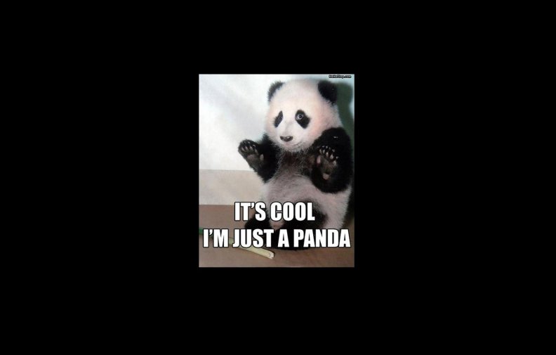 its cool im just a panda