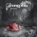 Amorphis _ Silent Waters