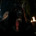 Van Helsing as Werewolf