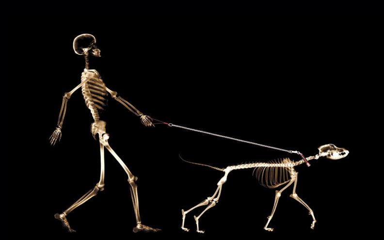 skeleton_with_dog.jpg