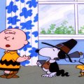 snoopy and woodstock dressed as mayflower pilgrims