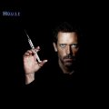 gregory house hugh laurie