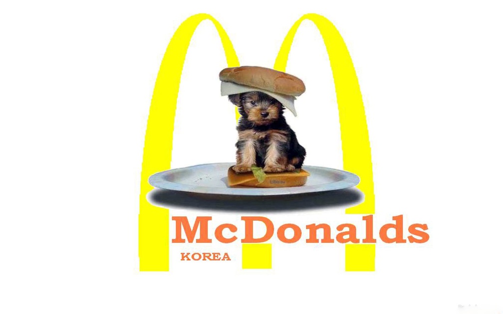 Mc Donalds Korea