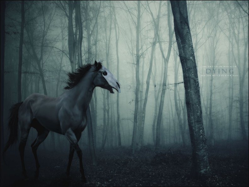 scary_ghost_horse.jpg