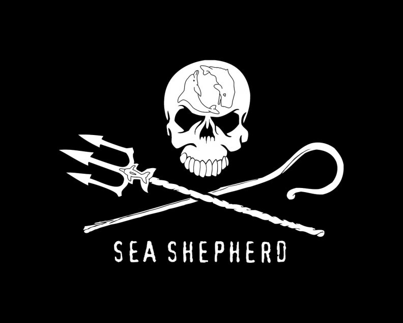 sea_shepherd.jpg