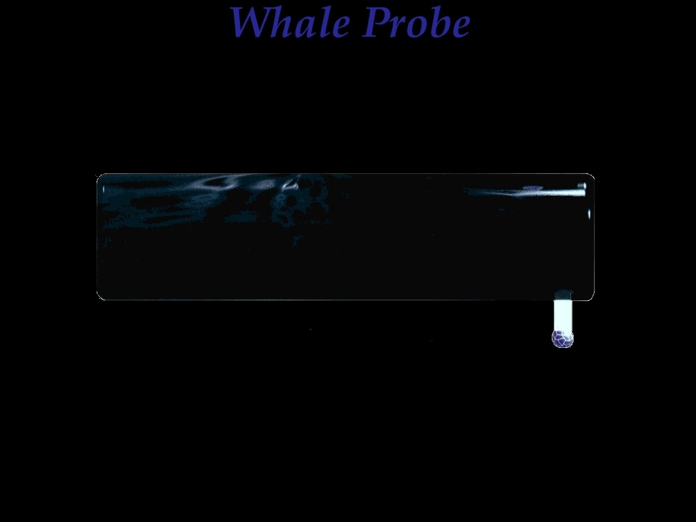 Star Trek _ Whale Probe