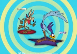 THE ROADRUNNER&amp;WILE COYOTE