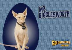 mr. Bigglesworth