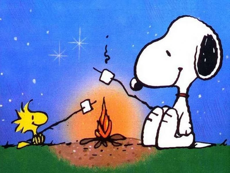 snoopy_and_woodstock_camping.jpg