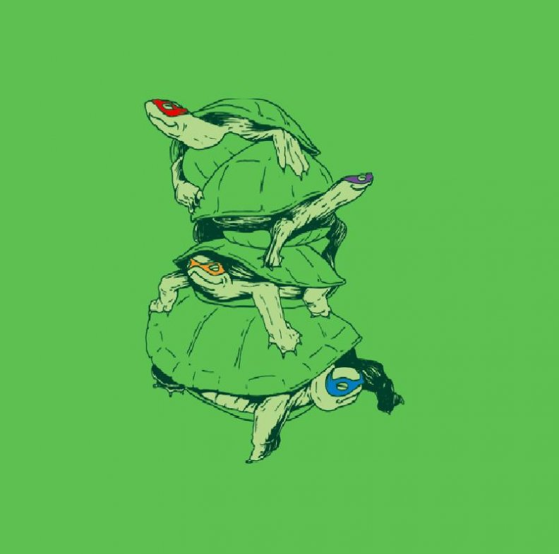 the_real_ninja_turtles.jpg