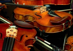 Strings of music