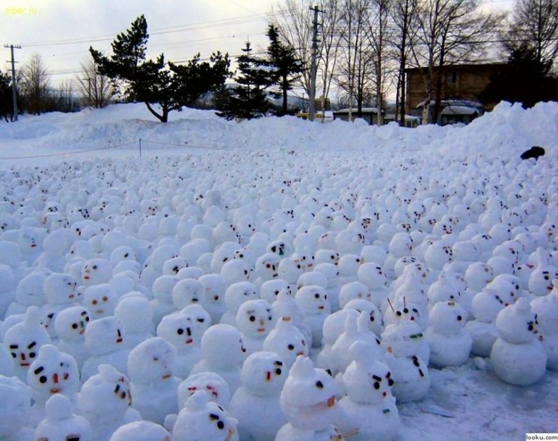 hundreds_gather_to_protest_global_warming.jpg