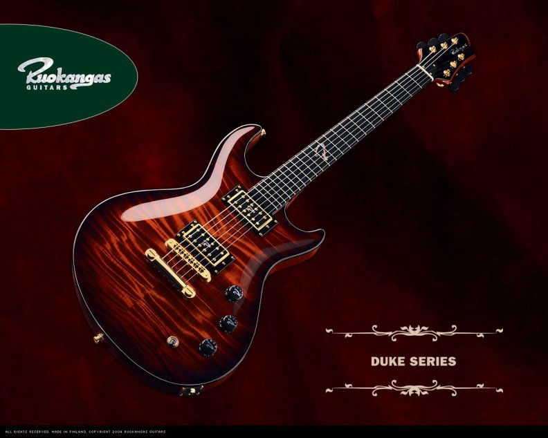 ruokangas_guitars_duke_series.jpg
