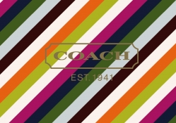 Coach Stripes