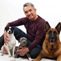 Cesar and dogs!