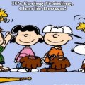 it's spring training charlie brown