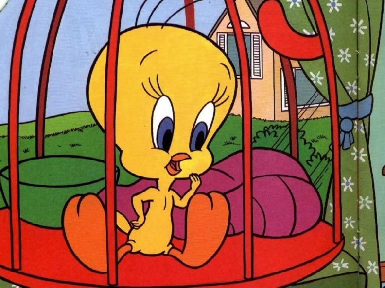 Tweety Caged