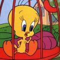 Tweety Caged