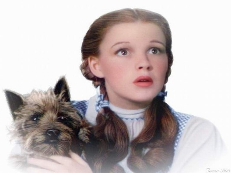 Dorothy and Toto (The Wizard of Oz)