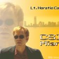 CSI:Miami_Horatio