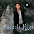 jacob black werewolf