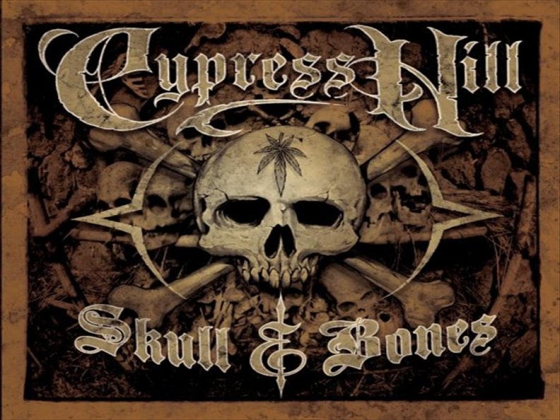 cypress_hill_skull_amp_bones.jpg