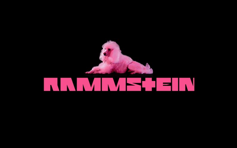Rammstein Pussy