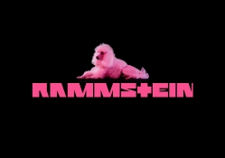 Rammstein Pussy