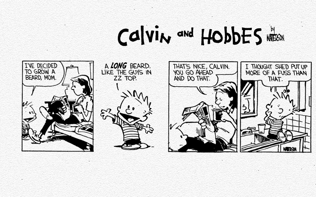 Calvin and Hobbes ZZTop Beard