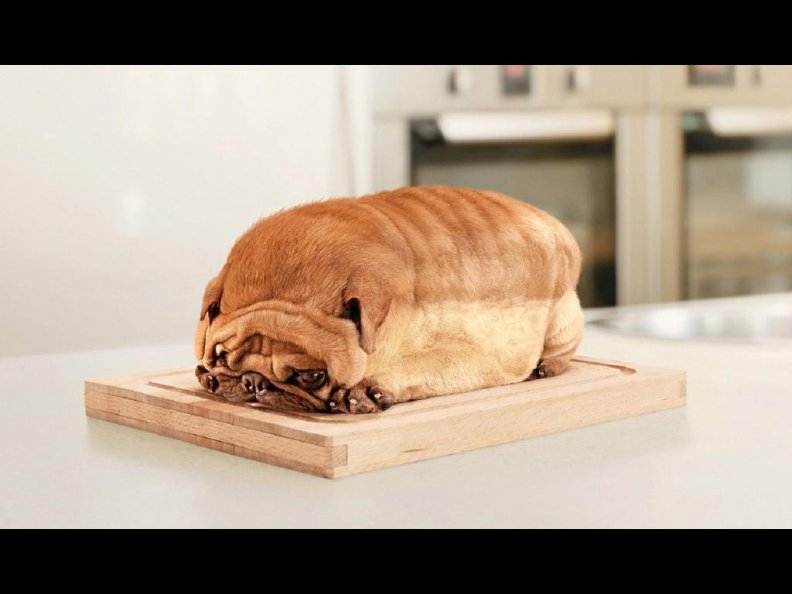 im_not_a_bread.jpg