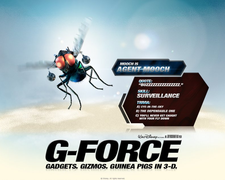 G_Force