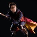 Harry Potter/Quiddich