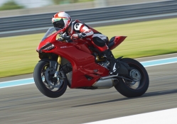 Fight Panigale