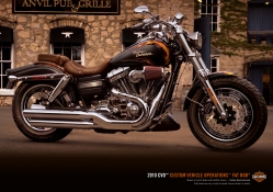 2010 Harley Fat Bob