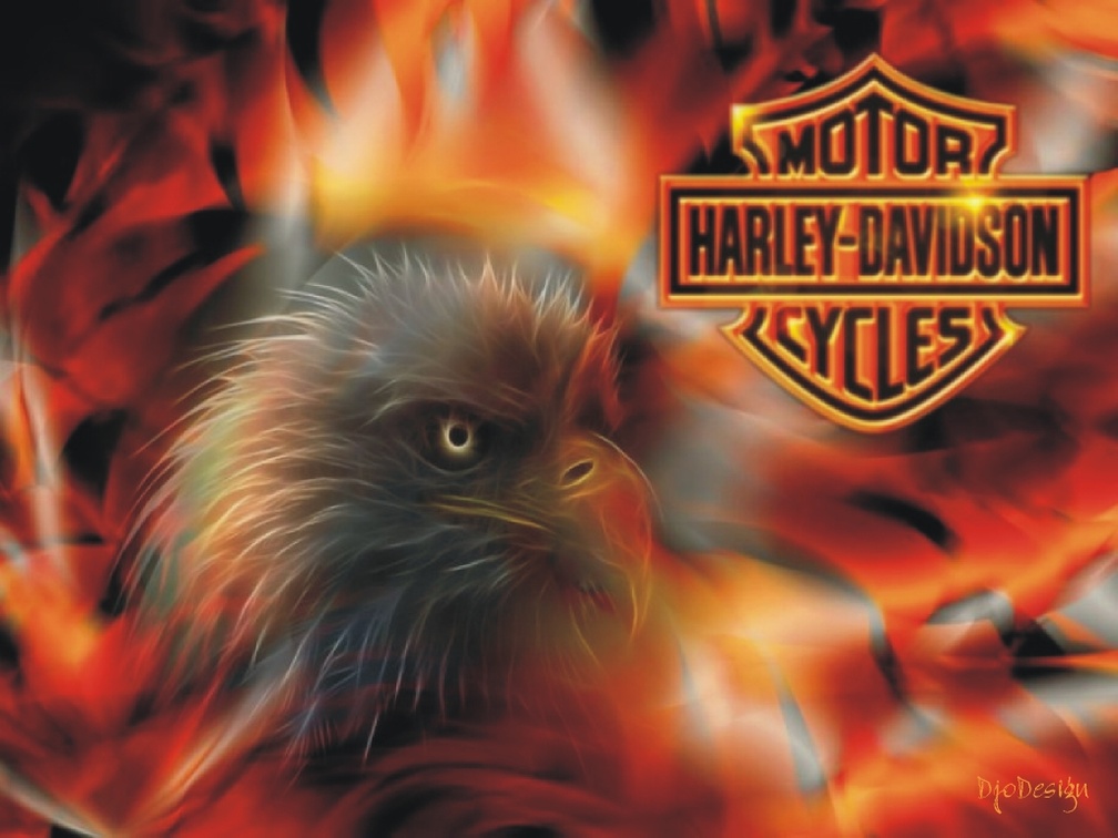 Harley_Davidson fire eagle