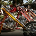 Daytona Harley's