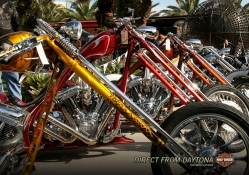 Daytona Harley's