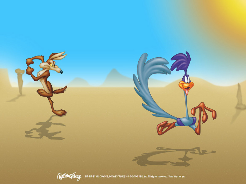 ROAD RUNNER WILE E COYOTE 