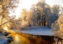 River In The Winter
