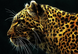 leopard 2